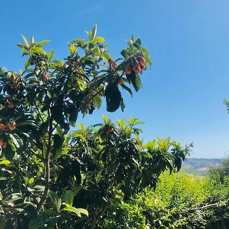 Effimera - Relaxing Retreat *