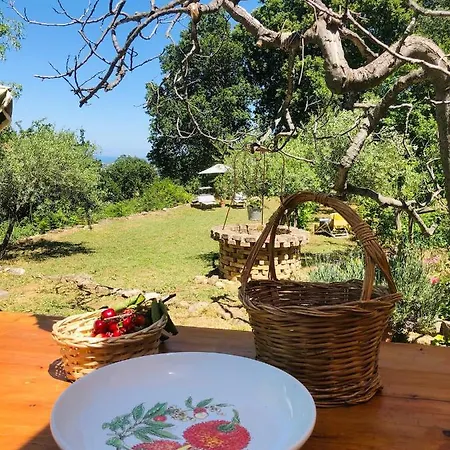 Effimera - Relaxing Retreat 别墅