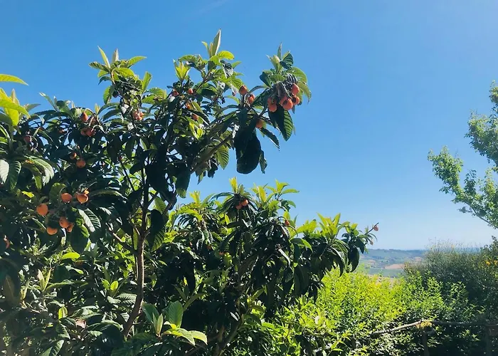 Effimera - Relaxing Retreat *